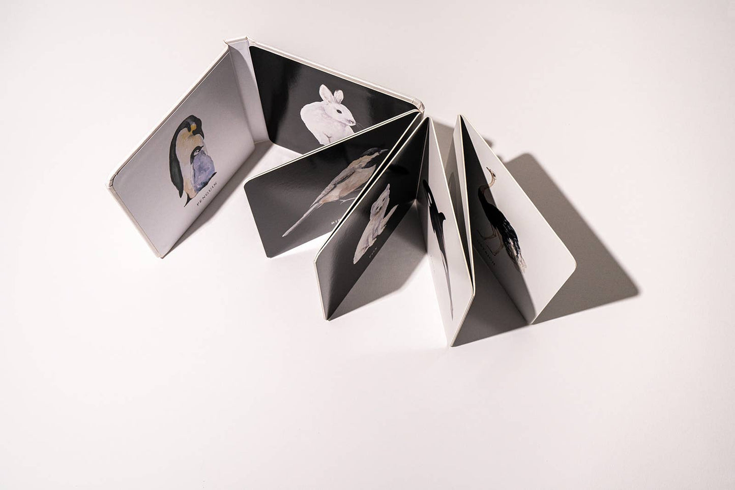 Black and White Book for Baby