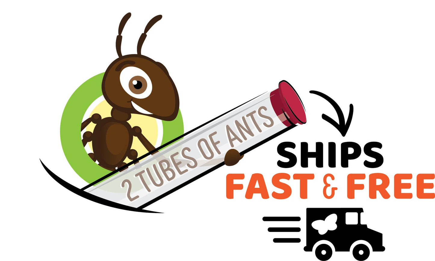 Ant Hill Kit w/ Prepaid Voucher