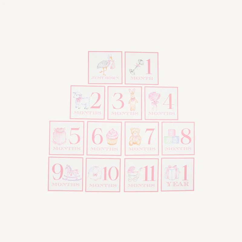 Month Markers - Pink