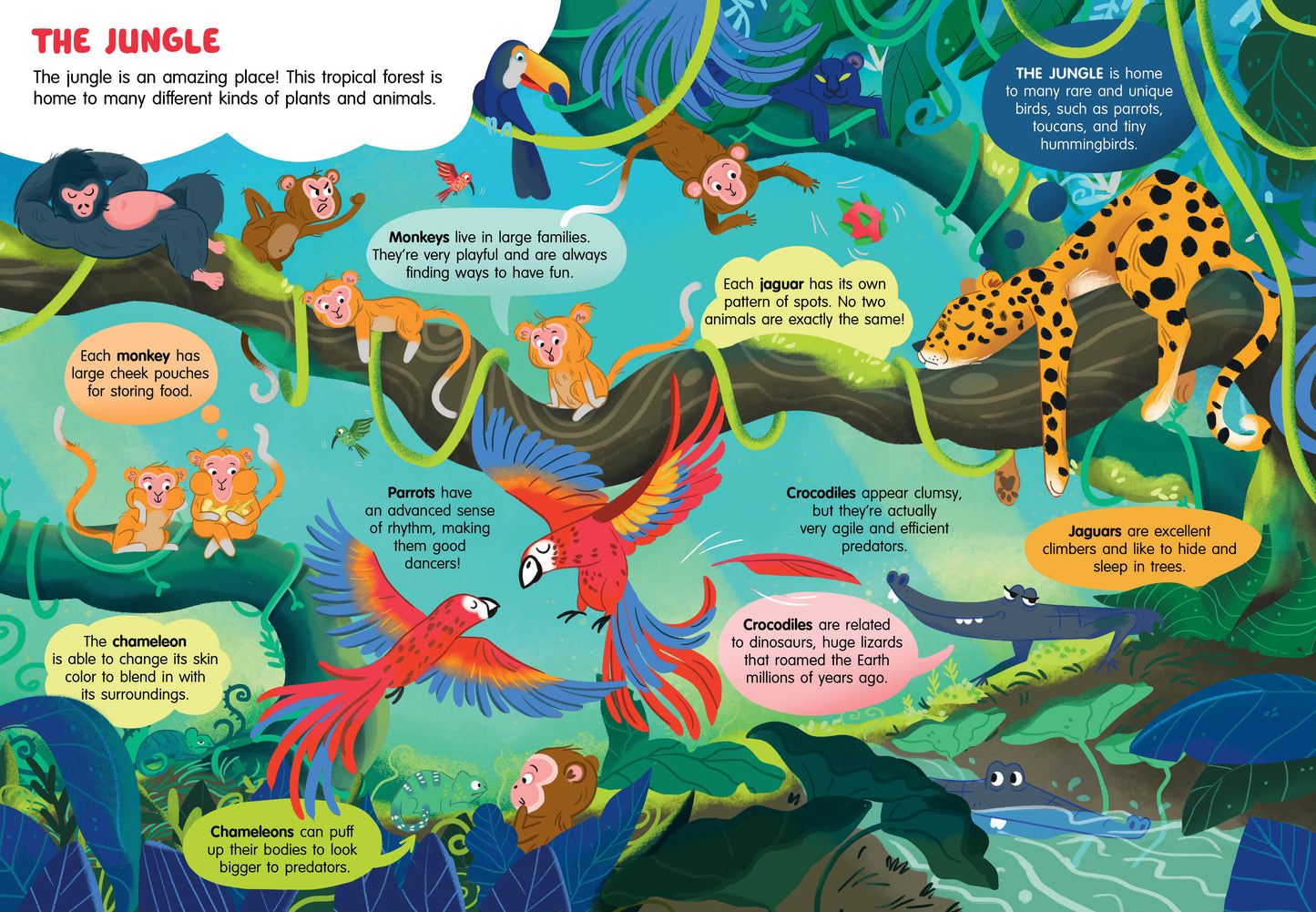 100 Facts About Animals Book