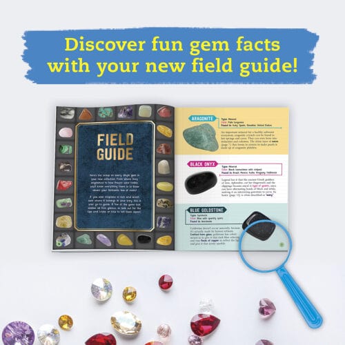 Steam Lab Ultimate Gemstone & Dig Kit