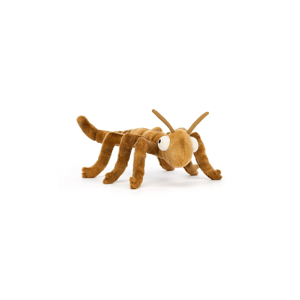 Stanley Stick Insect