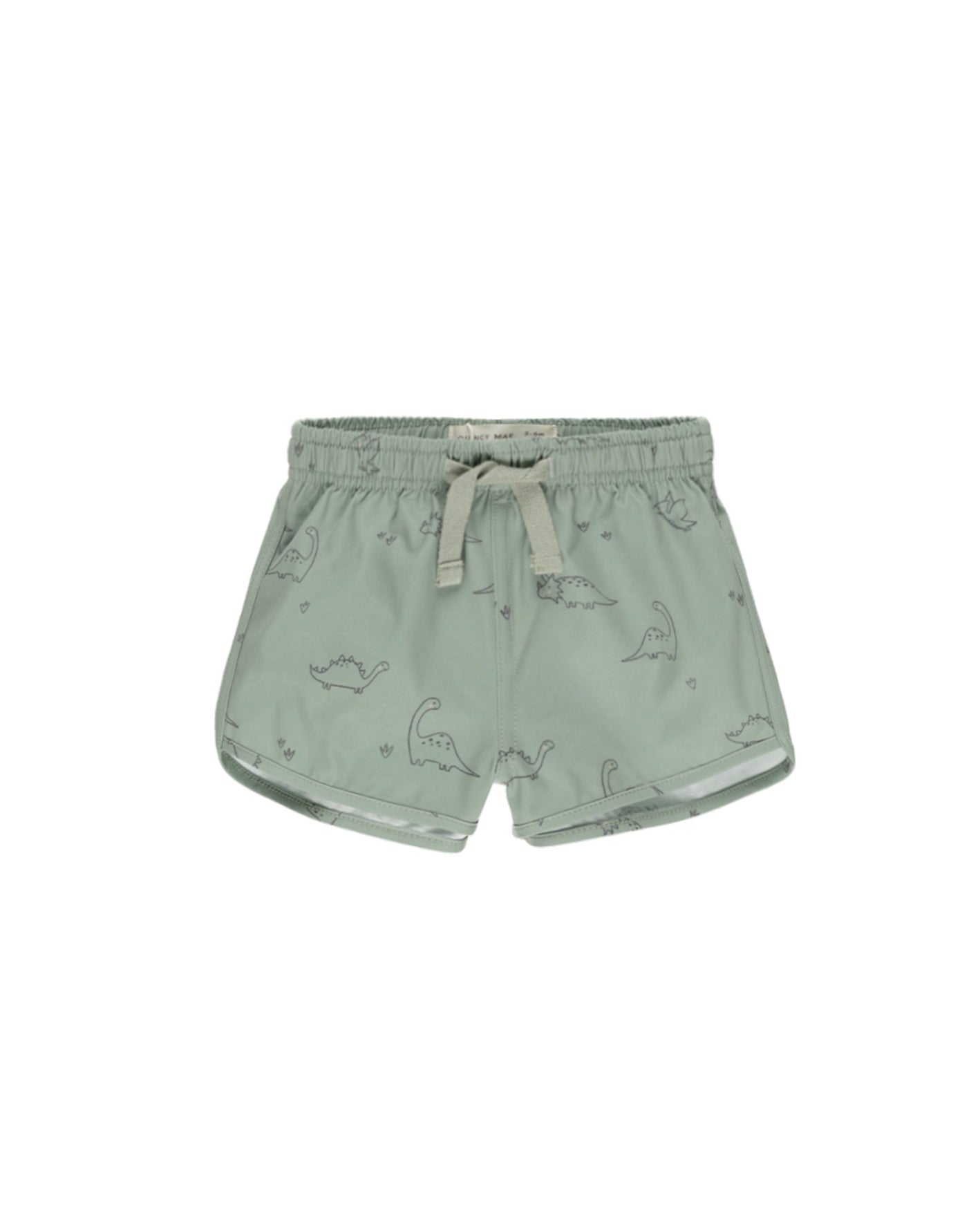 QM Swim Short - Dino