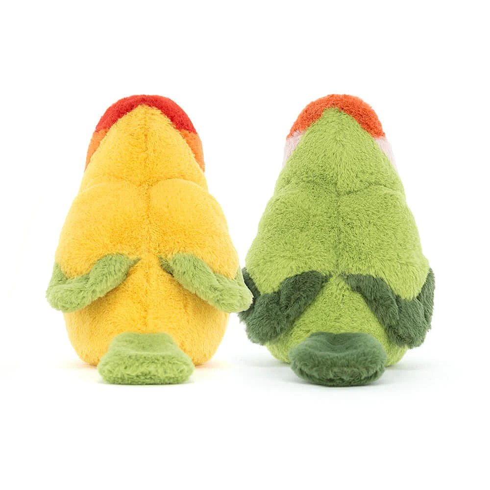 Pair of Lovely Lovebirds