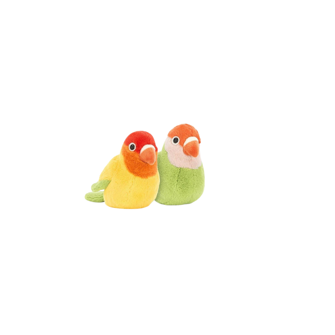 Pair of Lovely Lovebirds