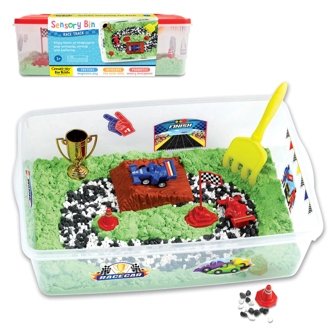 Sensory Bin- Race Track
