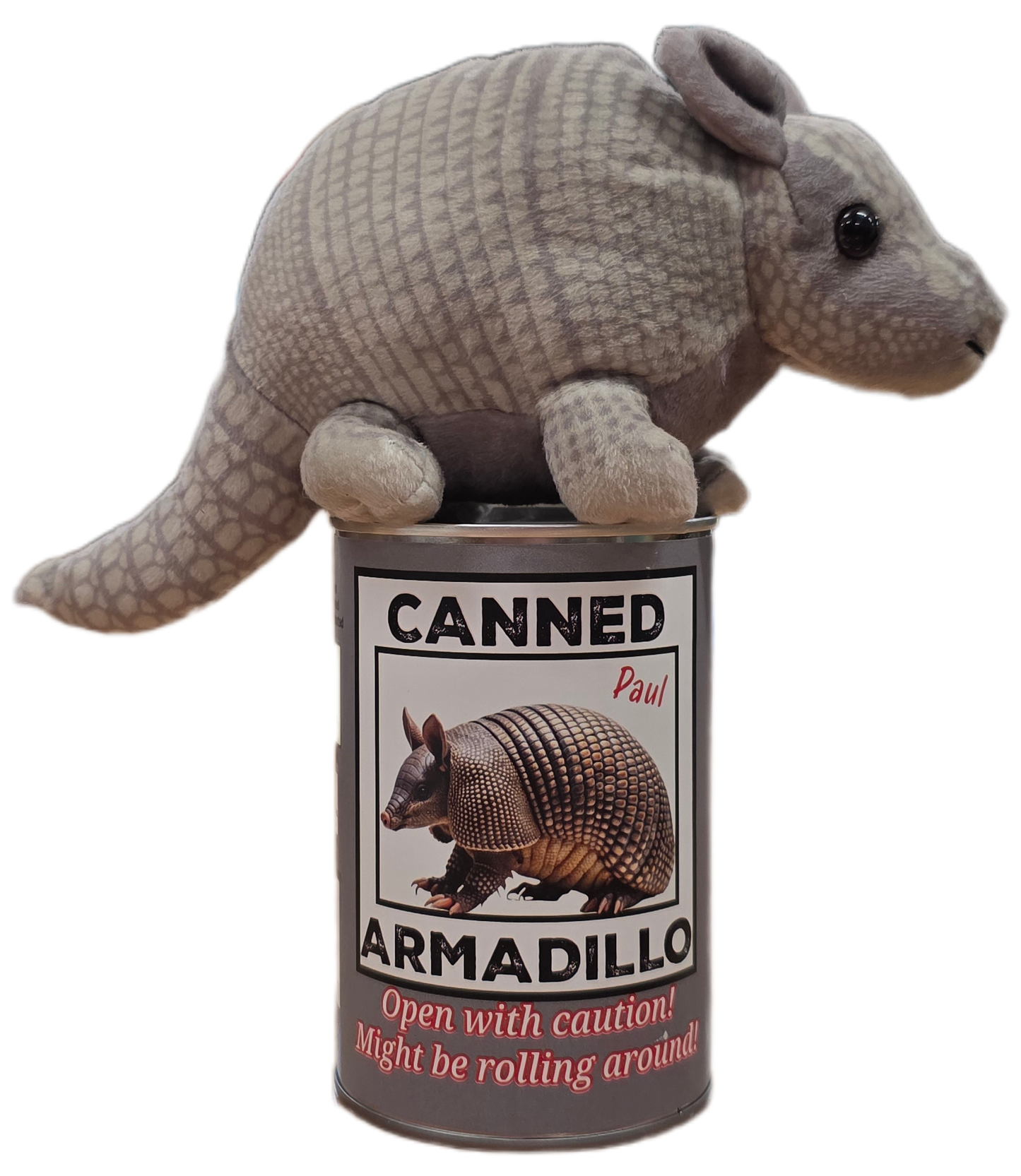Canned Armadillo