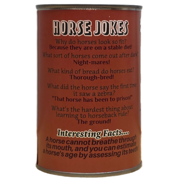 Spirit the Canned Horse