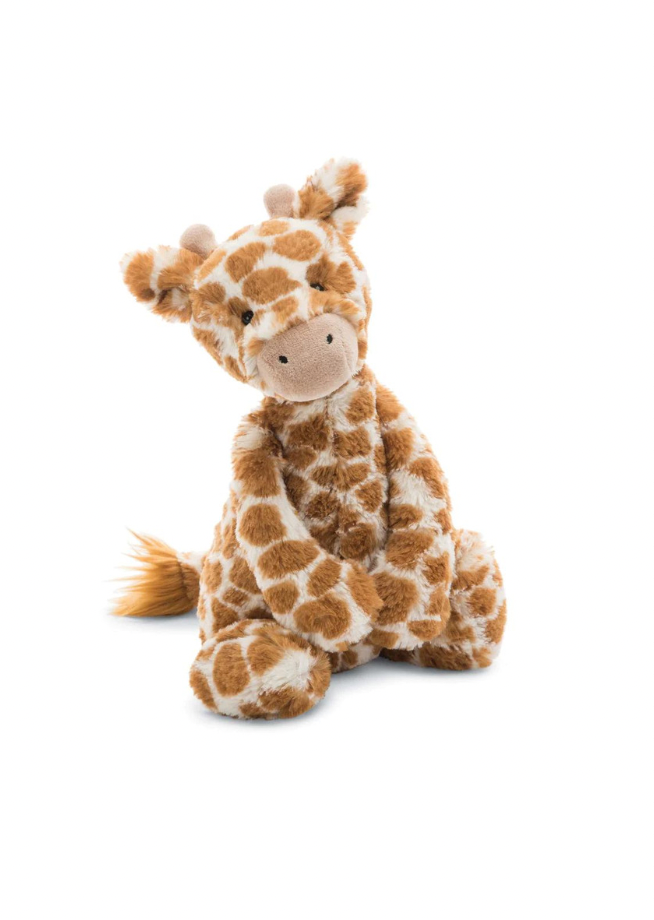 Bashful Giraffe Med