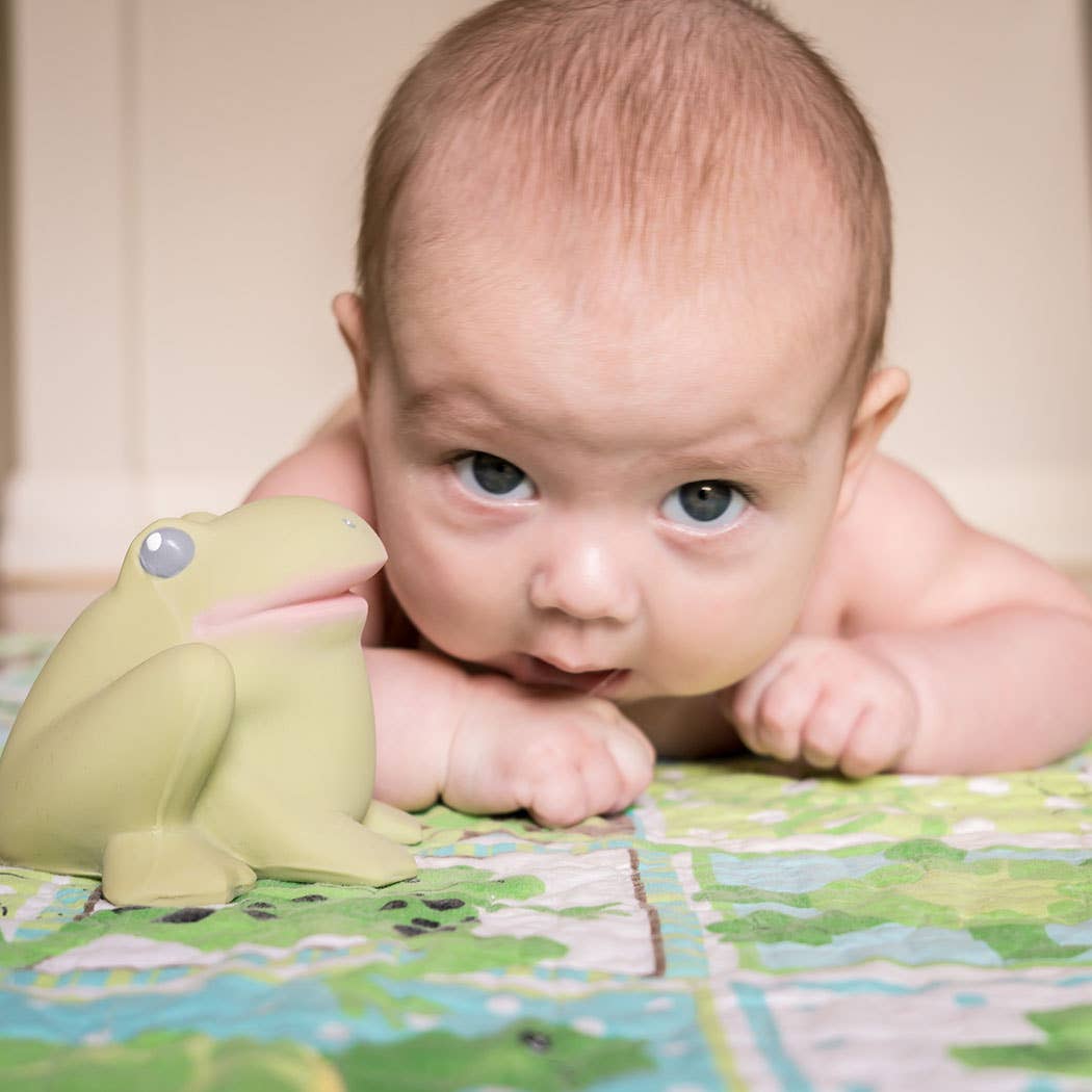 Gemba the Frog - Rubber Teether, Rattle & Bath toy