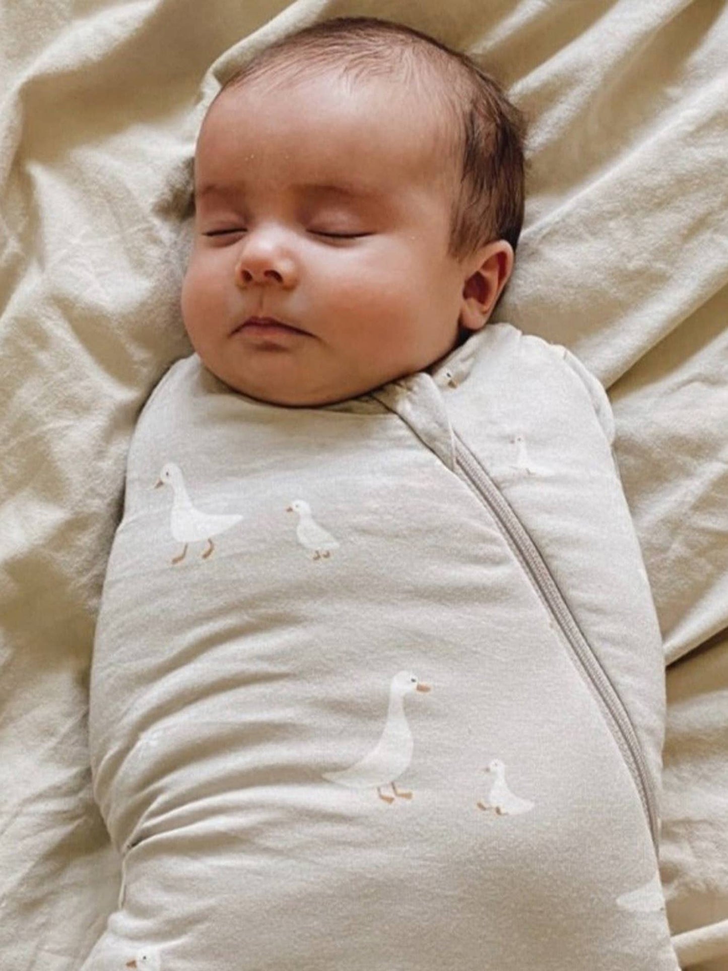 Wonderzip Swaddle 1.0- Up & Away