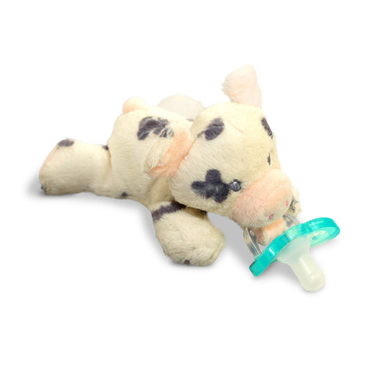 RaZbuddy Pig Paci/Teether