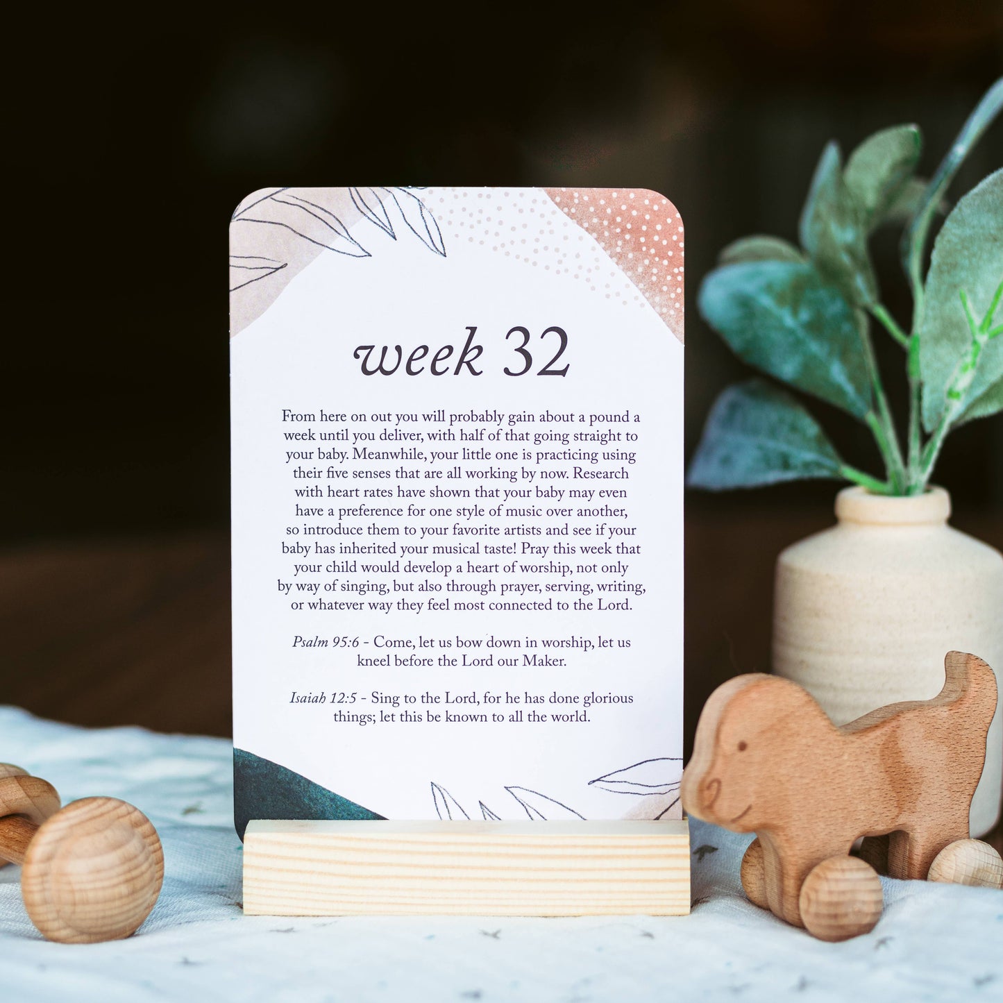 Pregnancy Prayer Cards - Multi Colored