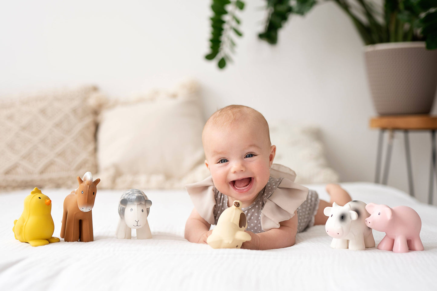 Pig - Rubber Teether, Rattle & Bath Toy