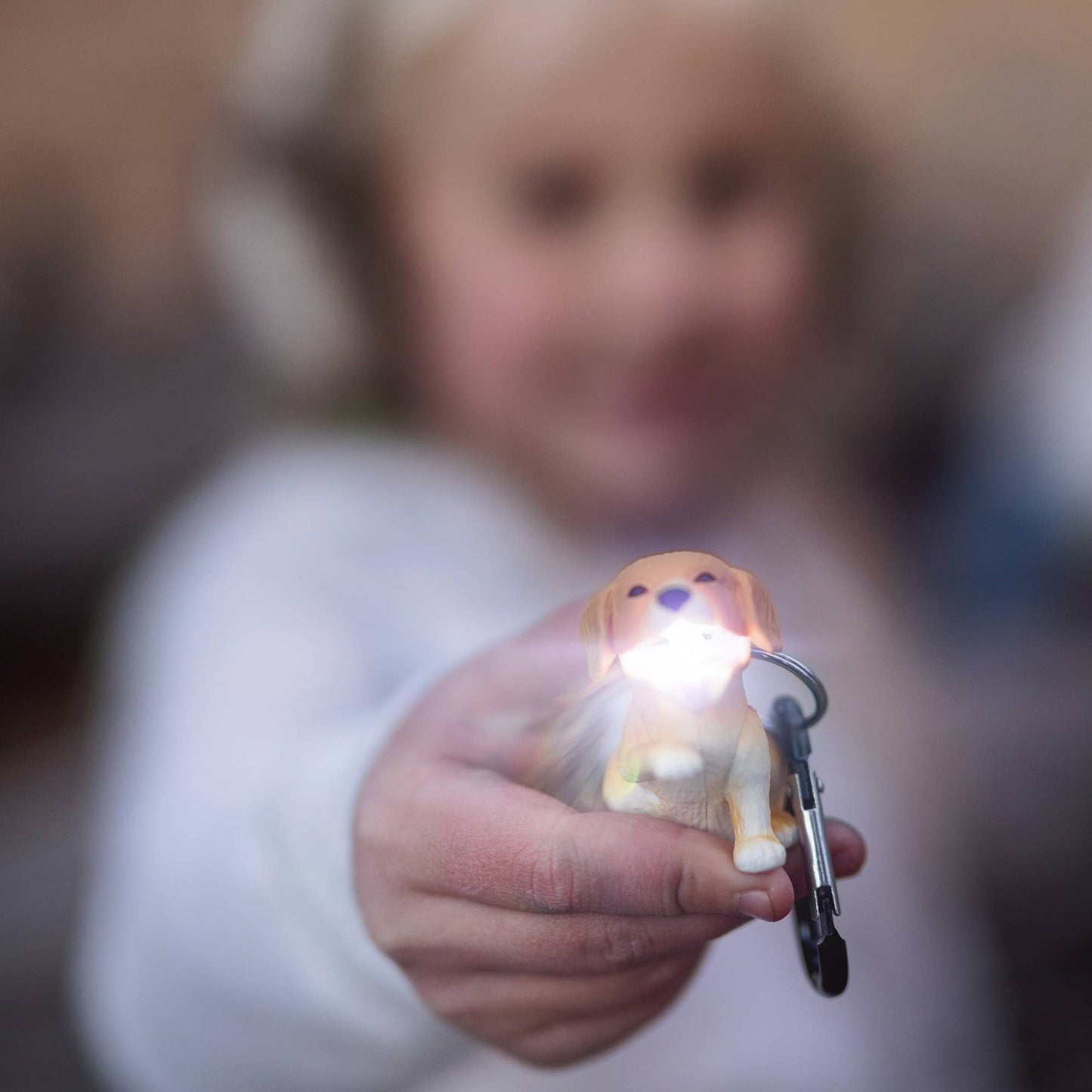 Flashlight - Retriever Dog