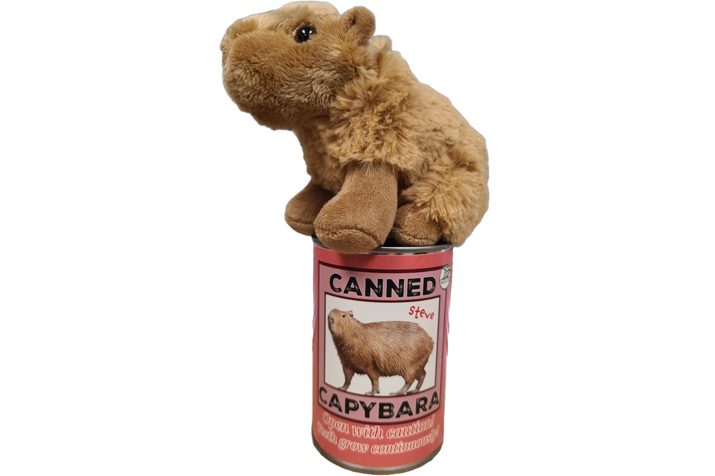 Steve the Canned Capybara