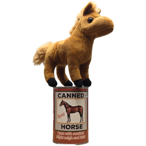 Spirit the Canned Horse