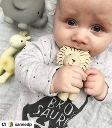 Lion - Rubber Teether