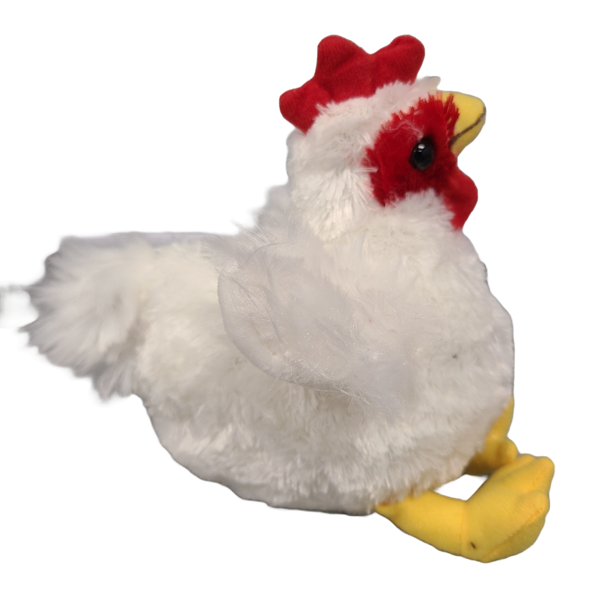 Canned Chicken