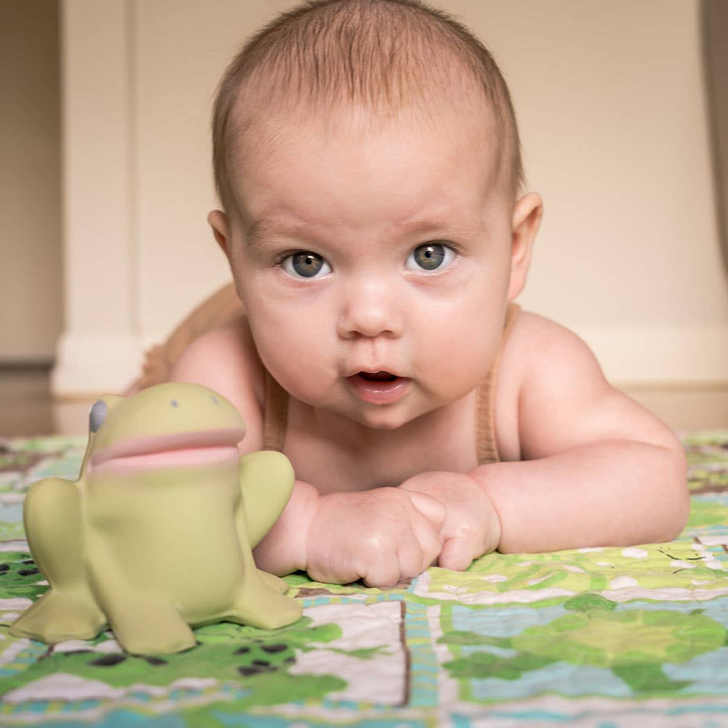 Gemba the Frog - Rubber Teether, Rattle & Bath toy