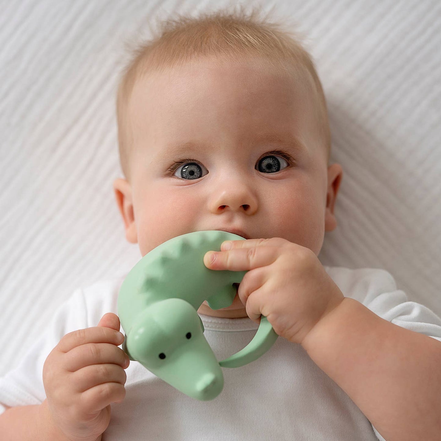 Crocodile - Rubber Teether, Rattle & Bath Toy