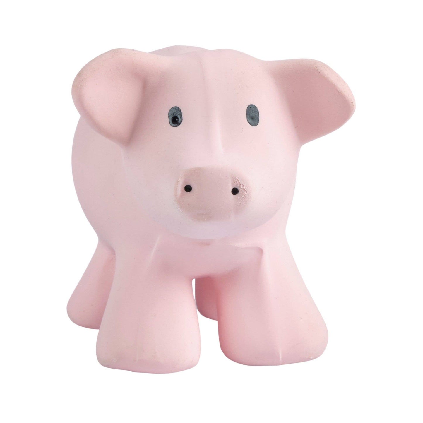 Pig - Rubber Teether, Rattle & Bath Toy