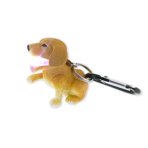 Flashlight - Retriever Dog