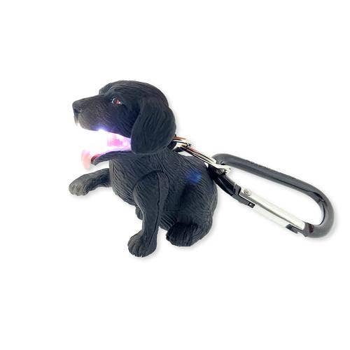 Flashlight - Black Labrador Dog