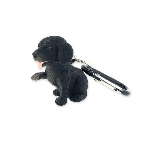 Flashlight - Black Labrador Dog