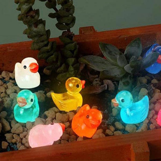 Hide A Duck - Glow in the Dark