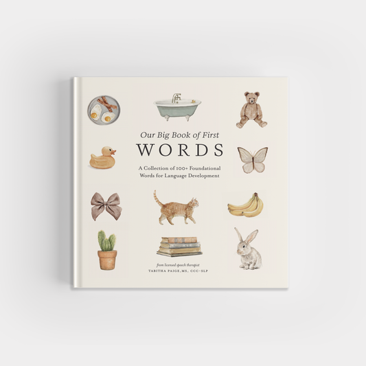 Our Big Book of First Words