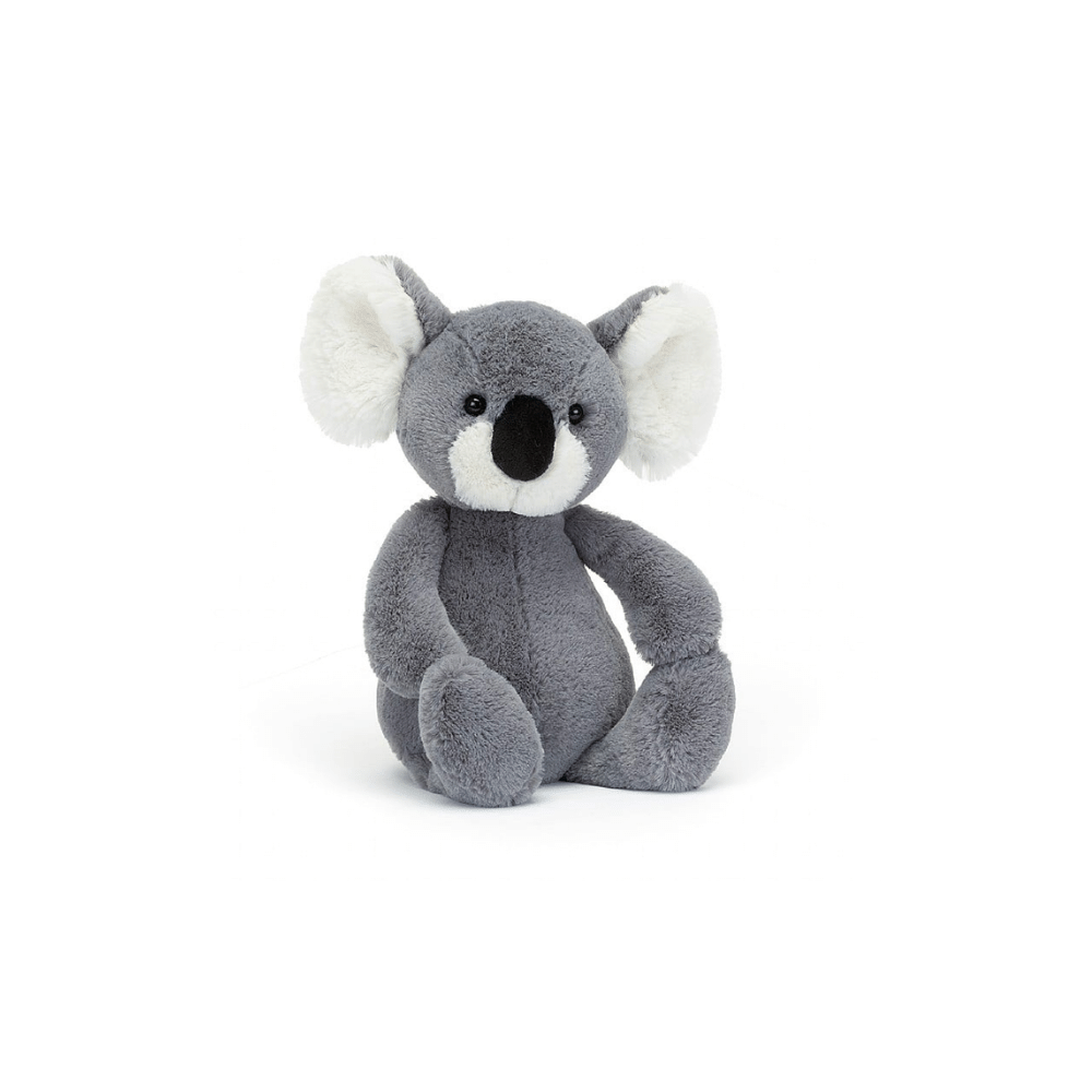 Bashful Koala Medium