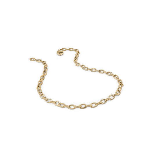 Charm It Charms - Gold Chain