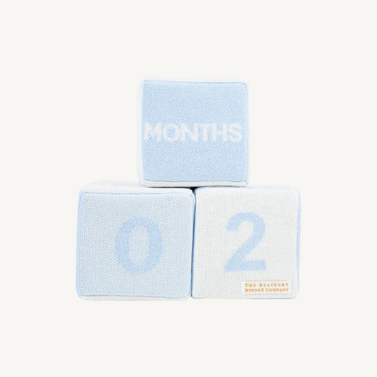 Milestone Block - Blue