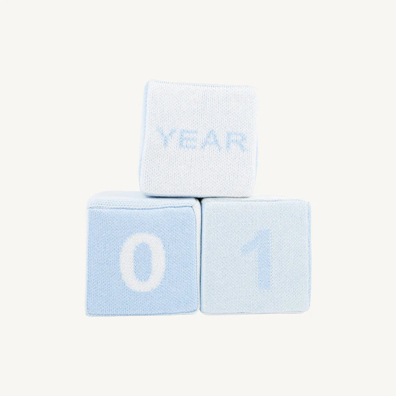 Milestone Block - Blue