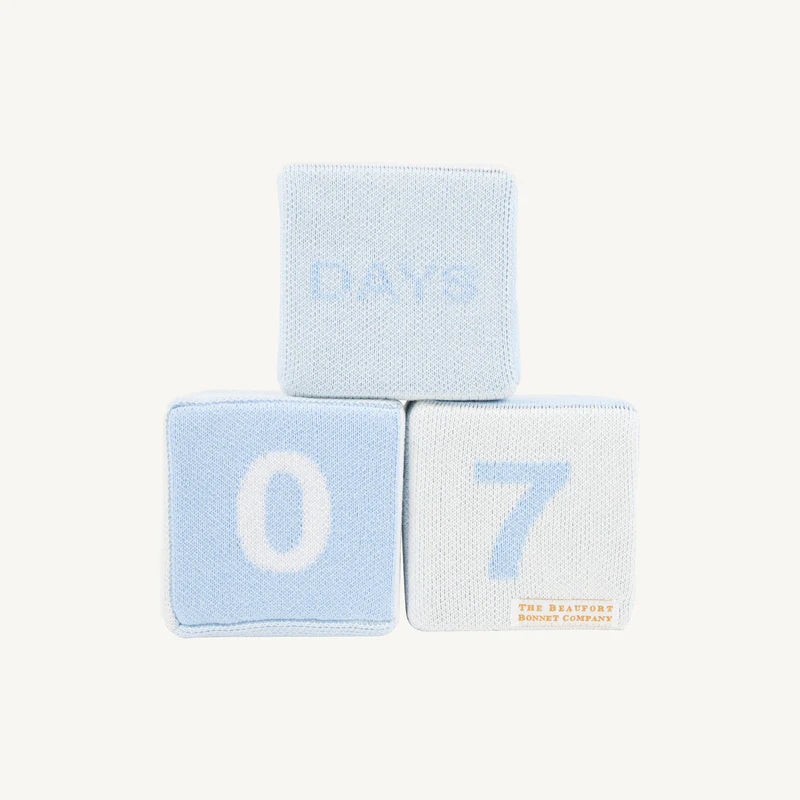 Milestone Block - Blue