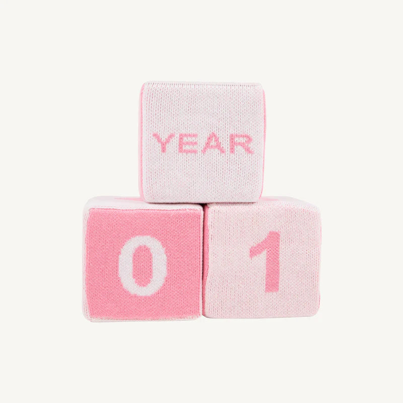 Milestone Block - Pink