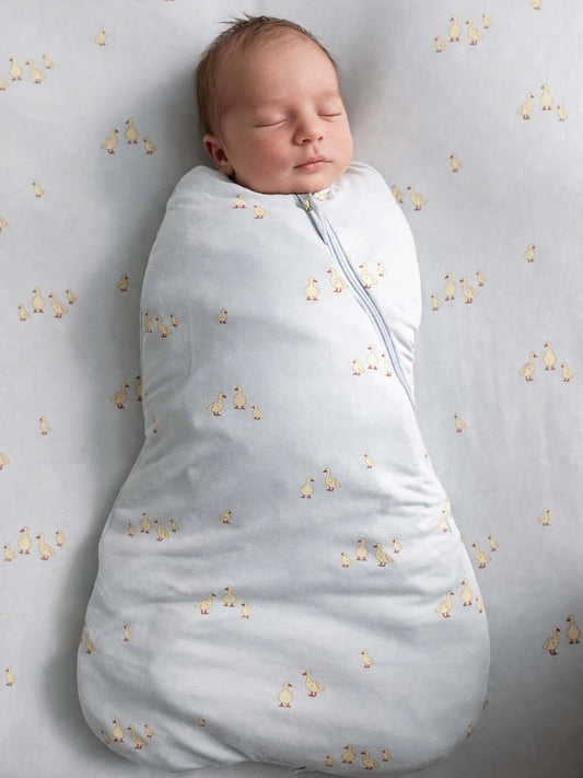 Wonderzip Swaddle 1.0- Friends