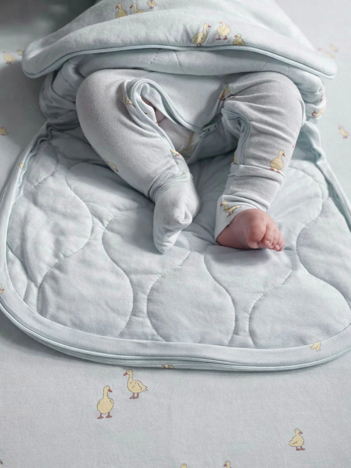 Wonderzip Swaddle 1.0- Friends