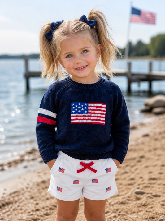 Seaton Sweater- Navy Flag