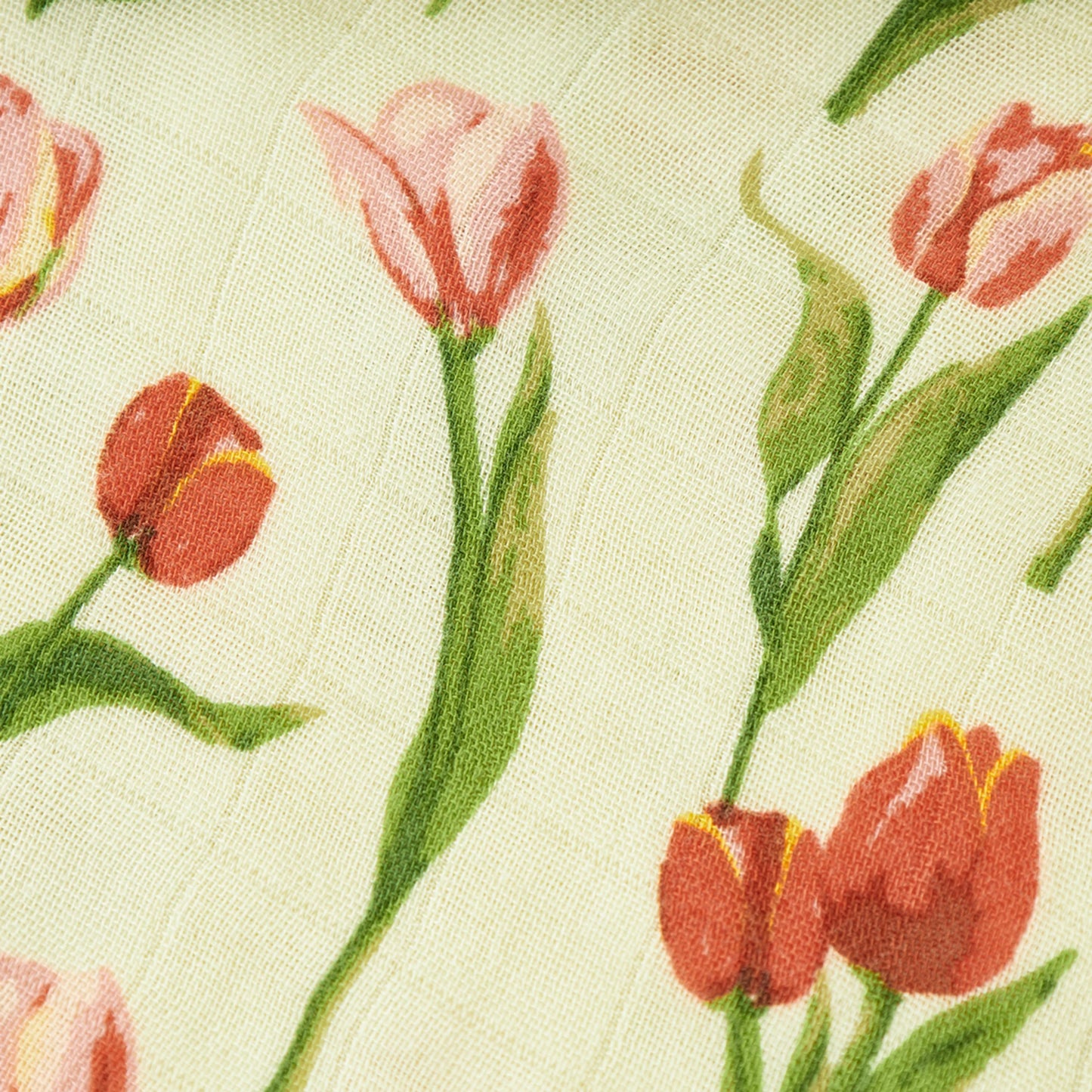 MB Big Lovey - Tulip