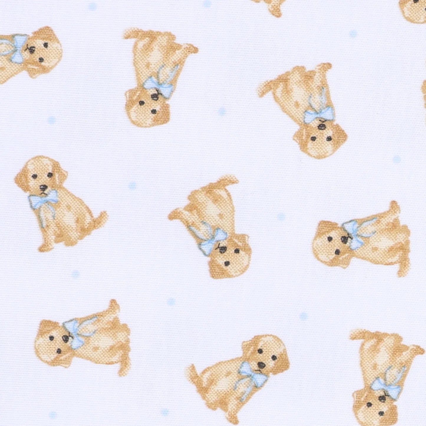 Sweet Golden Footie- Blue