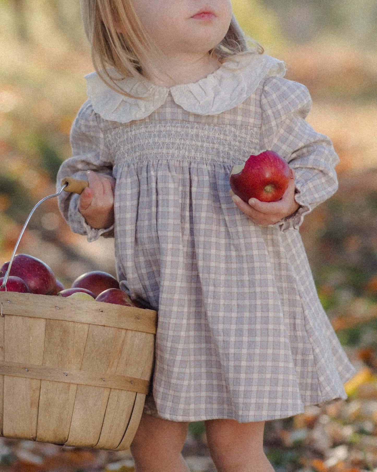 Callie Dress- Blue Gingham