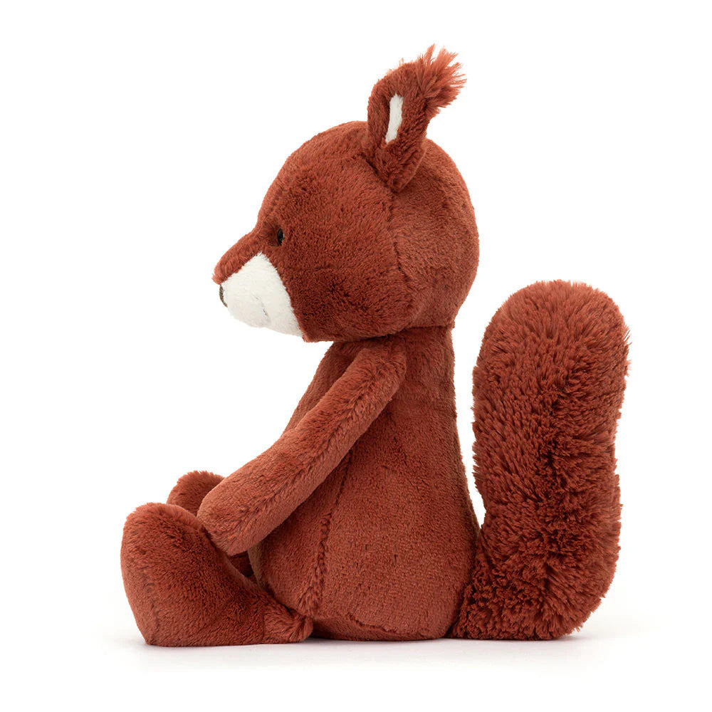 Bashful Squirrel Med