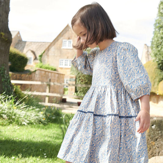 Maribelle Dress- Blue Climbing Floral