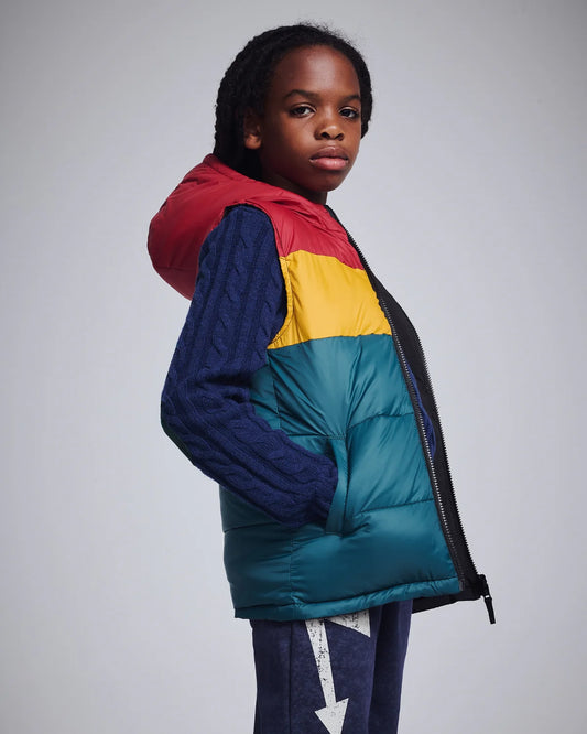 Reversible Vest - Alpine