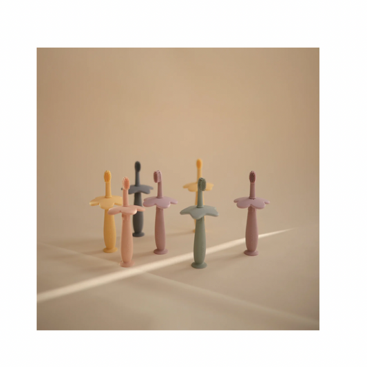 Mushie Star Training Toothbrush