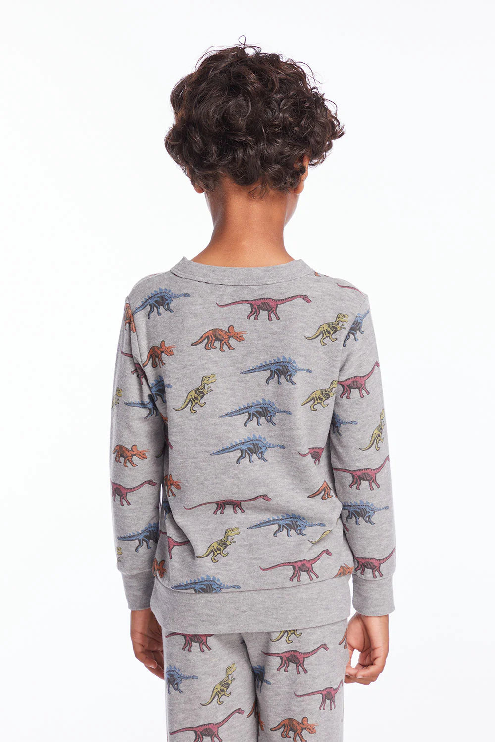 Skeleton Dino Sweatshirt