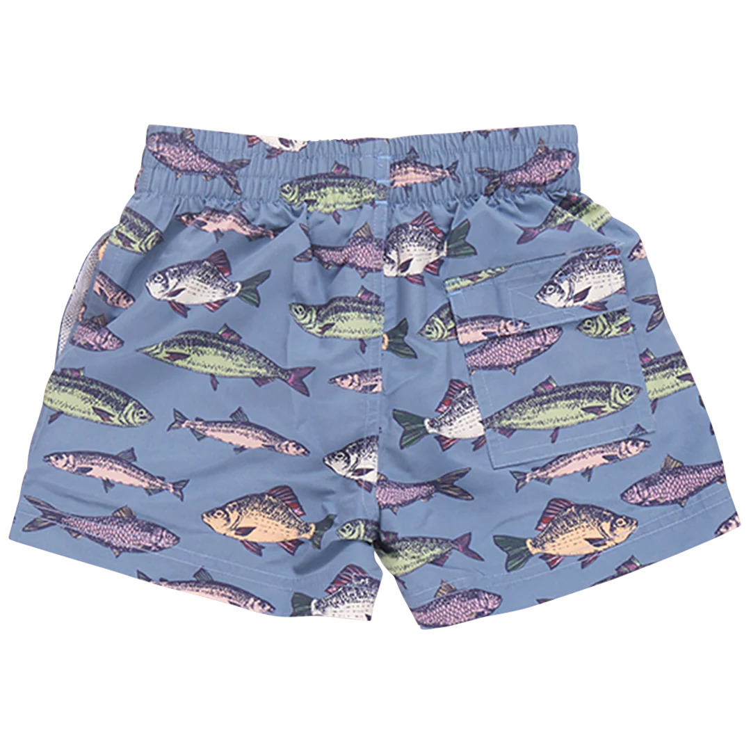 Boys Swim Trunk - Bluestone Fish