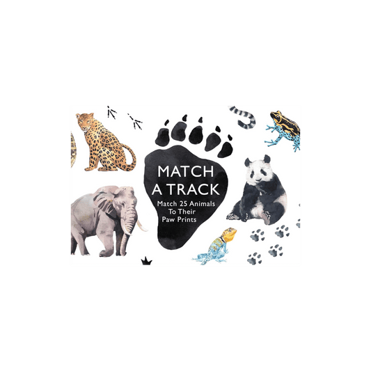Match A Track Paw Print